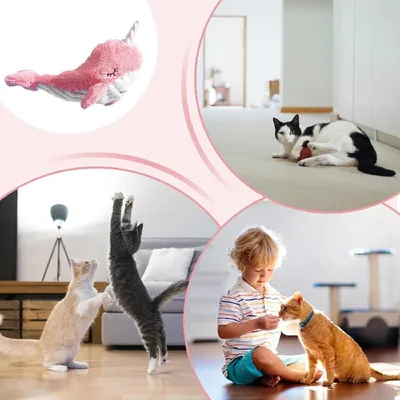 HausPets poisson électrique oscillant USB chat chien interactif Rose HausPets poisson électrique oscillant USB chat chien interactif Rose