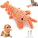 HausPets USB-wiederaufladbares Hummerspielzeug für Hunde und Katzen