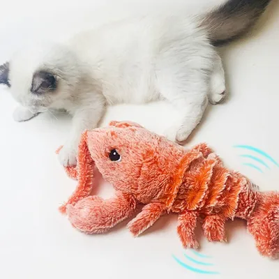 HausPets jouet homard rechargeable USB chien chat peluche énergie animal HausPets jouet homard rechargeable USB chien chat peluche énergie animal