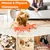 HausPets jouet homard rechargeable USB chien chat peluche énergie animal HausPets jouet homard rechargeable USB chien chat peluche énergie animal