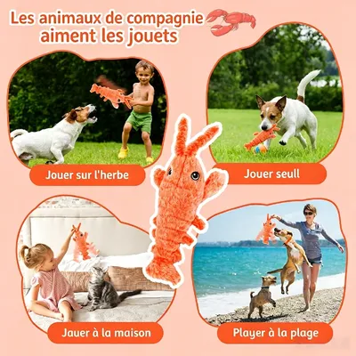 HausPets jouet homard rechargeable USB chien chat peluche énergie animal HausPets jouet homard rechargeable USB chien chat peluche énergie animal
