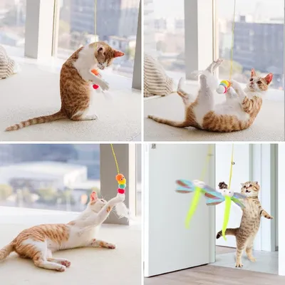 HausPets 3 jouets suspendus chat corde élastique chaton intérieur HausPets 3 jouets suspendus chat corde élastique chaton intérieur