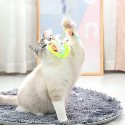 HausPets 3 jouets suspendus chat corde élastique chaton intérieur