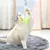 HausPets 3 jouets suspendus chat corde élastique chaton intérieur HausPets 3 jouets suspendus chat corde élastique chaton intérieur