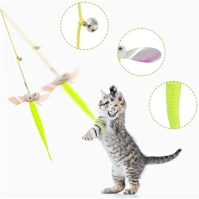 HausPets 3 jouets suspendus chat corde élastique chaton intérieur HausPets 3 jouets suspendus chat corde élastique chaton intérieur