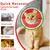 HausPets collier cône chat S vert forme pastèque