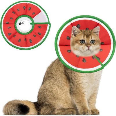 HausPets collier cône chat S vert forme pastèque
