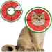 HausPets collier cône chat S vert forme pastèque