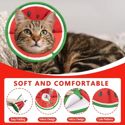 HausPets collier cône chat S vert forme pastèque