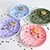 HausPets Bol à Lécher Silicone Poisson Anti-Glouton pour Chien