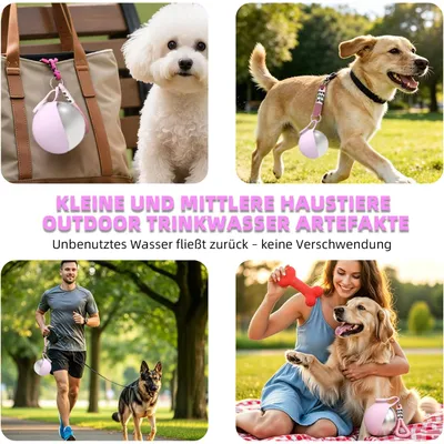 HausPets gourde chien 285 ml inox silicone pliable anti fuite camping HausPets gourde chien 285 ml inox silicone pliable anti fuite camping