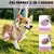 HausPets gourde chien 285 ml inox silicone pliable anti fuite camping HausPets gourde chien 285 ml inox silicone pliable anti fuite camping