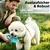 HausPets gourde chien 285 ml inox refoulement gamelle silicone voyage