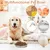 5 Bols Inoxydable Chats, Chatons Chiots, Gamelles Profondes Marque chat en