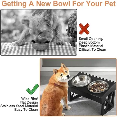 5 Bols Inoxydable Chats, Chatons Chiots, Gamelles Profondes Marque chat en