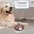 HausPets Comedero de acero inoxidable de alimentación lenta gatos perros