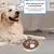 HausPets Gamelle Anti-Glouton Acier Inoxydable pour Chat et Chien