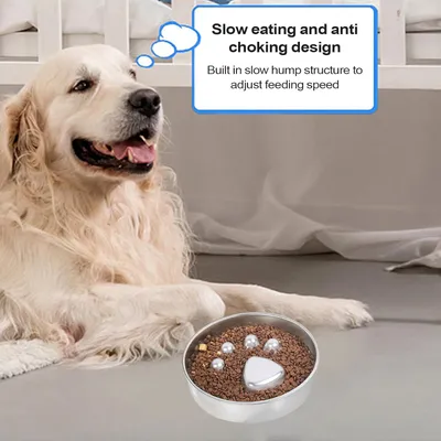 HausPets Gamelle Anti-Glouton Acier Inoxydable pour Chat et Chien