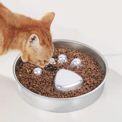 HausPets Gamelle Anti-Glouton Acier Inoxydable pour Chat et Chien