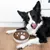 HausPets Gamelle Anti-Glouton Acier Inoxydable pour Chat et Chien