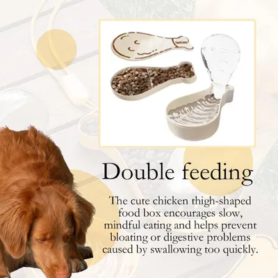 HausPets gourde chien portable multifonction gamelle intégrée voyage