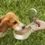 HausPets gourde chien portable multifonction gamelle intégrée voyage