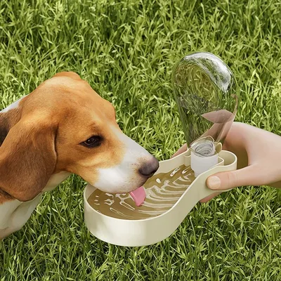 HausPets gourde chien portable multifonction gamelle intégrée voyage