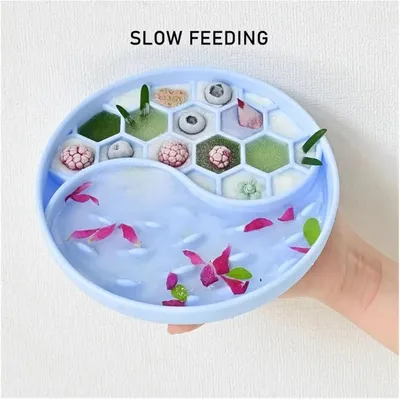 HausPets Bol à Lécher Silicone Poisson Anti-Glouton pour Chien