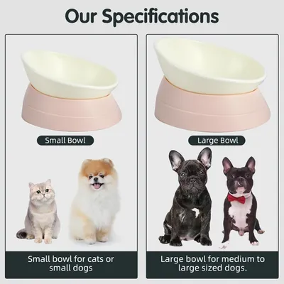 HausPets Gamelle Inclinable Antidérapante pour Chien et Chat, Rose