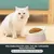 HausPets Gamelle Inclinable Antidérapante pour Chien et Chat, Rose