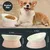 HausPets Gamelle Inclinable Antidérapante pour Chien et Chat, Rose