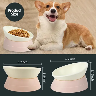 HausPets Gamelle Inclinable Antidérapante pour Chien et Chat, Rose