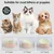 HausPets Gamelle Inclinable Antidérapante pour Chien et Chat, Rose