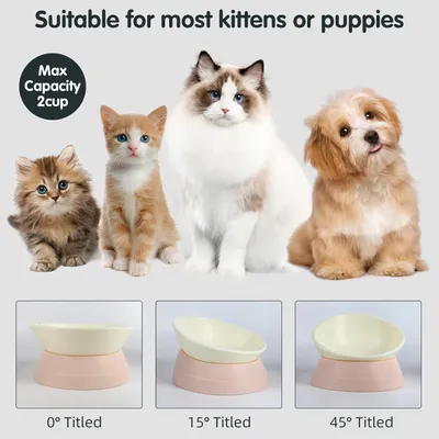 HausPets Gamelle Inclinable Antidérapante pour Chien et Chat, Rose