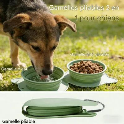 HausPets Double gamelle pliable pour chiens et chats