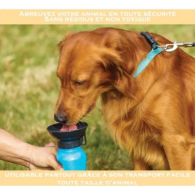HausPets gourde chien 0 5 L bol intégré voyage couleur aléatoire