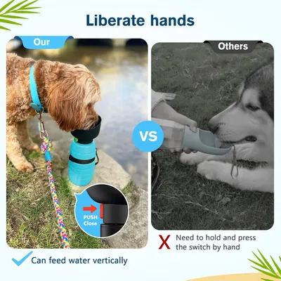 HausPets gourde chien 500 ml 2 en 1 anti fuite non toxique balade