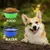 HausPets Set 2 Faltnäpfe 350ml Karabiner Hunde Katzen blau grün