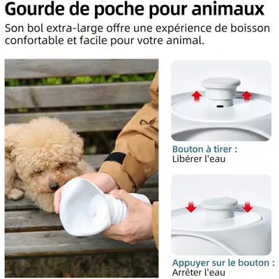 HausPets gourde premium chien 550 ml anti fuite hygiénique petits moyens