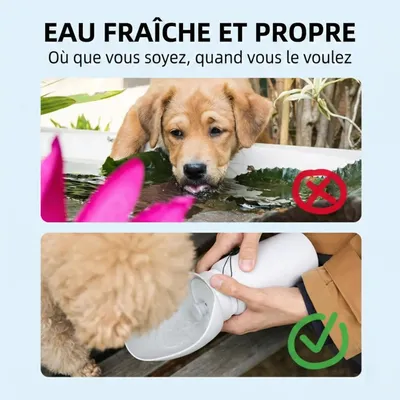 HausPets gourde premium chien 550 ml anti fuite hygiénique petits moyens
