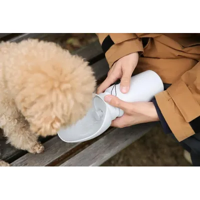 HausPets gourde premium chien 550 ml anti fuite hygiénique petits moyens