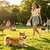 HausPets gourde voyage chien bol étanche sangle distributeur extérieur