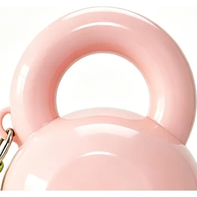 HausPets gourde voyage chien bol étanche sangle distributeur extérieur
