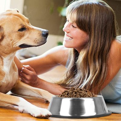HausPets Lot de 2 Gamelles Inox Antidérapantes pour Chien Moyen/Grand