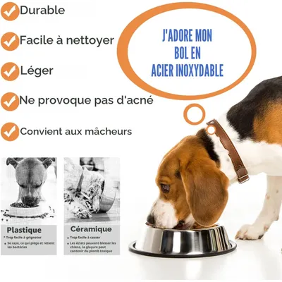 HausPets Lot de 2 Gamelles Inox Antidérapantes pour Chien Moyen/Grand HausPets Lot de 2 Gamelles Inox Antidérapantes pour Chien Moyen/Grand