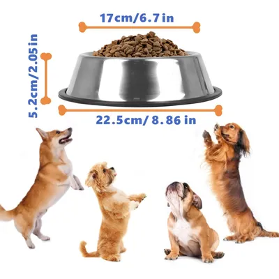 HausPets Lot de 2 Gamelles Inox Antidérapantes pour Chien Moyen/Grand HausPets Lot de 2 Gamelles Inox Antidérapantes pour Chien Moyen/Grand