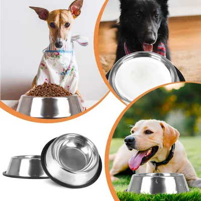 HausPets Lot de 2 Gamelles Inox Antidérapantes pour Chien Moyen/Grand HausPets Lot de 2 Gamelles Inox Antidérapantes pour Chien Moyen/Grand