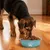 HausPets Lot de 2 Gamelles Inox Antidérapantes pour Chien et Chat HausPets Lot de 2 Gamelles Inox Antidérapantes pour Chien et Chat