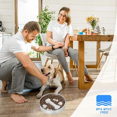 HausPets Gamelle Anti-Glouton Acier Inoxydable pour Chien et Chat