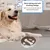 HausPets Comedero de acero inoxidable de alimentación lenta perros gatos